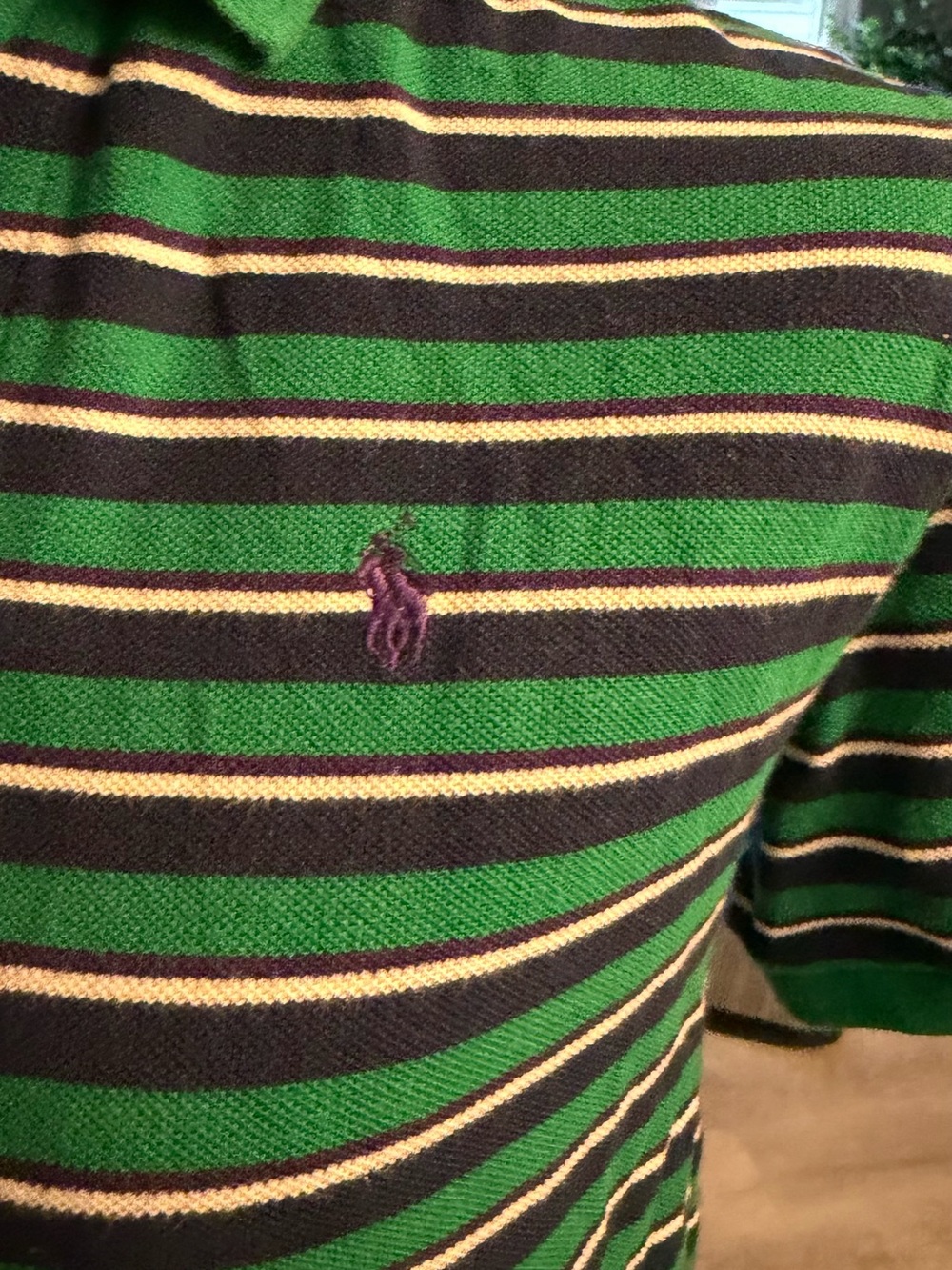 Polo by Ralph Lauren Green and Black Striped Polo with Purple Logo